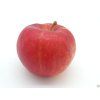 Jabloň 'Red Topaz'  Malus domestica 'Red Topaz'