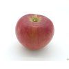 Jabloň 'Rajka'  Malus domestica 'Rajka'