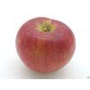 Jabloň 'Rajka'  Malus domestica 'Rajka'
