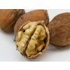 Ořešák 'Mars'  Juglans regia 'Mars'