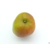 Jabloň 'Cornwallské hřebíčkové'  Malus domestica 'Cornwallské hřebíčkové'