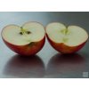 Jabloň 'Katia'  Malus domestica 'Katia'