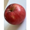Jabloň 'Šampion Red'  Malus domestica 'Šampion Red'