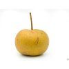 Asijská hrušeň 'Hosui' - kontejner  Pyrus pyrifolia 'Hosui'