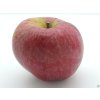 Jabloň 'Bláhova Reneta' - kontejner  Malus domestica 'Bláhova Reneta'