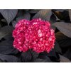 HYDR ECLIPSE S56895