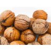 Ořešák 'Apollo' - kontejner  Juglans regia ´Apollo´