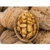 Ořešák 'Jupiter' - kontejner  Juglans regia  'Jupiter'