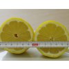 Citroník 'Adamo'  Citrus limon 'Adamo'