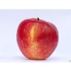 Jabloň 'James Grieve'  Malus domestica 'James Grieve'