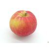 Jabloň 'Daňkovo'  Malus domestica 'Daňkovo'