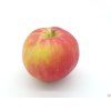 Jabloň 'Daňkovo'  Malus domestica 'Daňkovo'