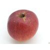 Jabloň 'Jaroslav Němec'  Malus domestica 'Jaroslav Němec'