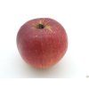 Jabloň 'Jaroslav Němec'  Malus domestica 'Jaroslav Němec'
