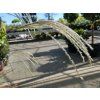 Miscanthus Silver Charm (1)
