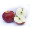 Jabloň 'Spartan' - kontejner  Malus domestica 'Spartan'