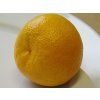 Mandarinka 'Ayky'  Citrus unshiu 'Ayky'