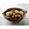 Ořešák královský 'Rita'  Juglans regia 'Rita'