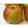Jabloň 'Bláhovo Oranžové' - kontejner  Malus domestica 'Bláhovo Oranžové'