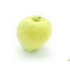 Jabloň 'Krasokvět Žlutý' - kontejner  Malus domestica 'Krasokvět Žlutý'