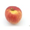 Jabloň 'Muškátová Reneta' - kontejner  Malus domestica 'Muškátová Reneta'