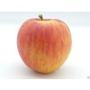 Jabloň 'Muškátová Reneta' - kontejner  Malus domestica 'Muškátová Reneta'
