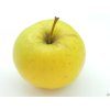 Jabloň 'Sirius' - kontejner  Malus domestica 'Sirius'
