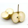 Asijská hrušeň 'Hosui'  Pyrus pyrifolia 'Hosui'