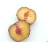 Japonská švestka 'Angeleno'  Prunus salicina ´Angeleno´