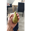 f04f21d872716ed0