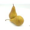 Hrušeň 'Boscova lahvice'  Pyrus communis 'Boscova lahvice'