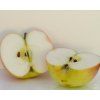 Jabloň 'Čistecké Lahůdkové'  Malus domestica 'Čistecké lahůdkové'
