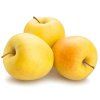 Jabloň 'Golden Delicious'  Malus domestica 'Golden Delicious'