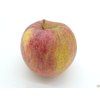 Jabloň 'Nabella'  Malus domestica 'Nabella'