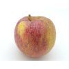 Jabloň 'Nabella'  Malus domestica 'Nabella'