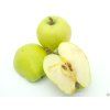 Jabloň 'Produkta'  Malus domestica 'Produkta'