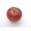 Jabloň 'Rajka'  Malus domestica 'Rajka'
