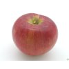 Jabloň 'Rajka'  Malus domestica 'Rajka'