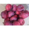 Jabloň 'Red Love'  Malus domestica 'Red Love'