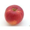 Jabloň 'Red Topaz'  Malus domestica 'Red Topaz'