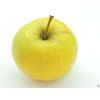 Jabloň 'Sirius'  Malus domestica 'Sirius'