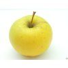 Jabloň 'Sirius'  Malus domestica 'Sirius'