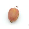 Kiwi 'Ananasnaya'  Actinidia arguta 'Ananasnaya'