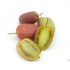 Kiwi 'Bingo'  Actinidia arguta 'Bingo'