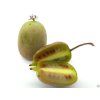 Kiwi 'Ken's Red'  Actinidia arguta 'Ken's Red'