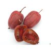 Kiwi 'Purpurna Sadowa'  Actinidia arguta 'Purpurna Sadowa'