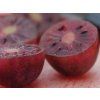 Kiwi 'Purpurna Sadowa'  Actinidia arguta 'Purpurna Sadowa'