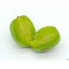Kiwi 'Viti-Kiwi'  Actinidia arguta 'Viti-Kiwi'