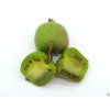 Actinidia Weiki (1)