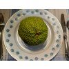 Maklura pomerančová  Maclura pomifera